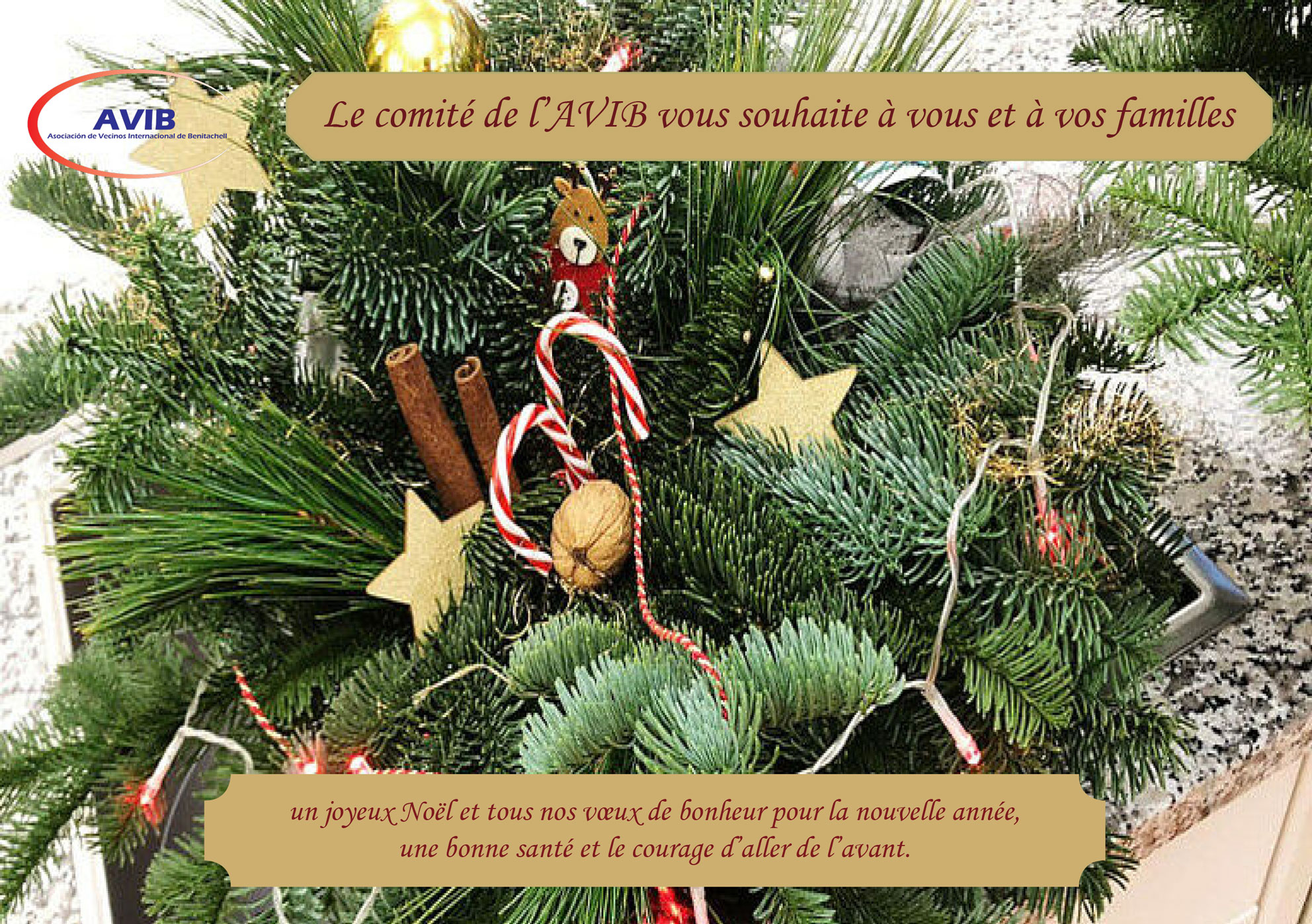 AVIB – Cumbre del Sol